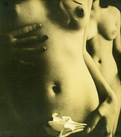 mapetitemelancolie:  Karin Székessy- Lilly,