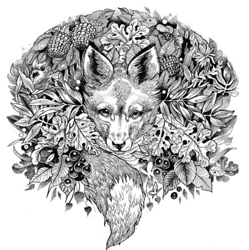 cineraceorum:Society6 | “hidden fox” by sarachnid (@sarachnid) 
