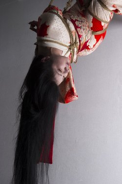 japanesebdsmofficial: Shibari Yuri &