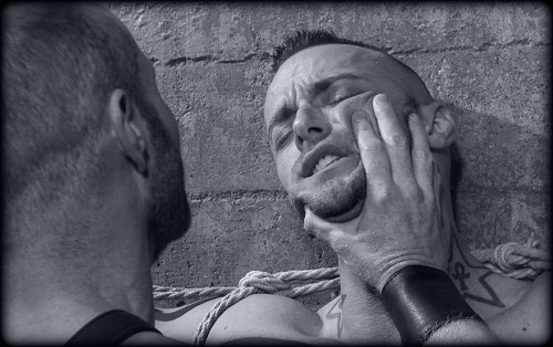 perroscalientes:  http://nuevaediciondeperros.blogspot.com/ 
