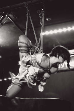 gorgone-kinbaku:  Very beautiful pictures