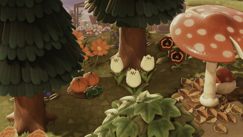 catspaw-isle:now i do love my lil pumpkin patch but also consider this: wild pumpkins. EVERYWHERE.
