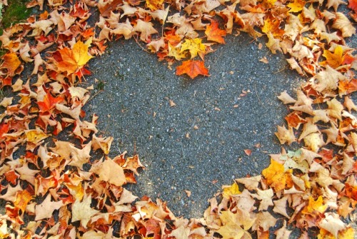 I love beautiful things