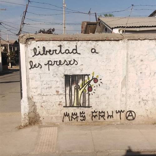 “Free the Prisoners / More Fruit” Seen in Chile