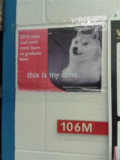 starry-eyed-escapist:my university, everybody