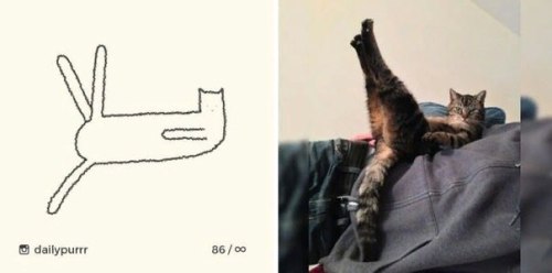 art-woonz: Art by IG: @dailypurrr Instagram: @artwoonz