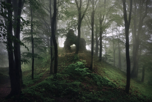 foxmouth:Brothers Grimm's Homeland, 2013 | Kilian Schönberger