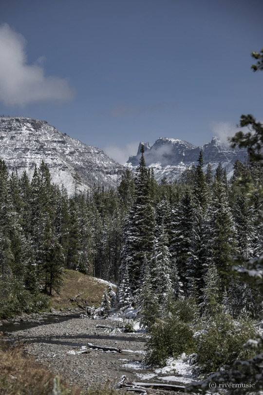 The view downstream at Middle Creek, east entrance to Yellowstone National Park: (c) riverwindphotography, September 2020