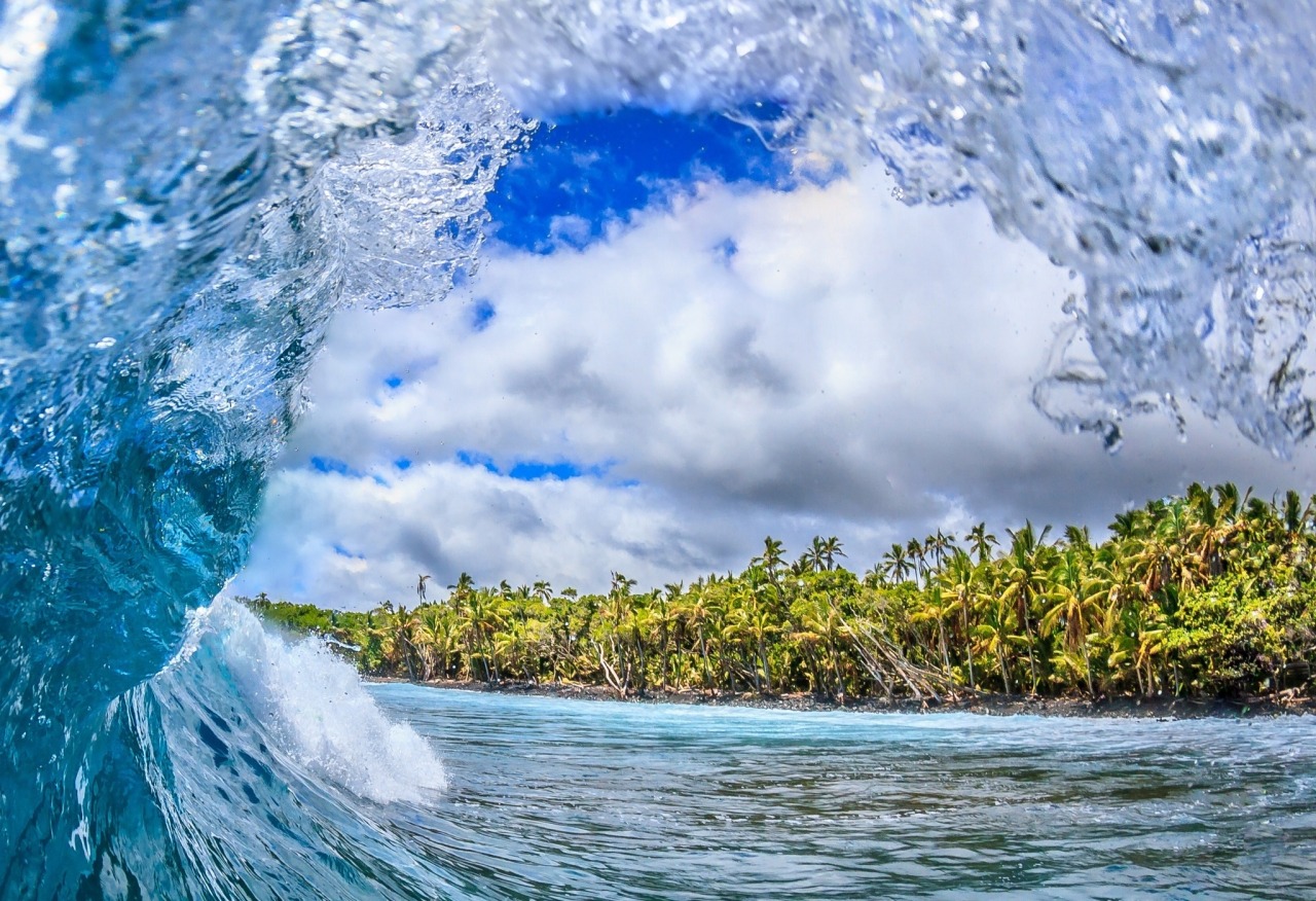 0ce4n-g0d:  Wave Sequence 3 Credits: 1, 2, 3, 4, 5, 6, 7, 8, 9, 10 