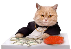 You have been visited by the money cat He