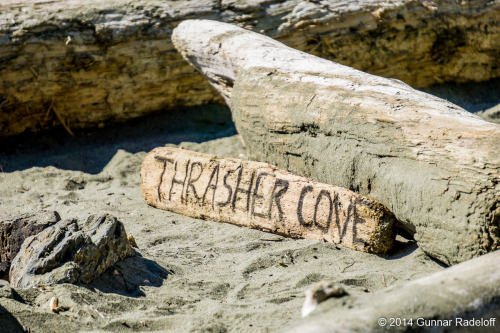 8.7.2014 - day 6 on the West Coast Trail - the last morning on the trail.#BC #Canada #VancouverIslan