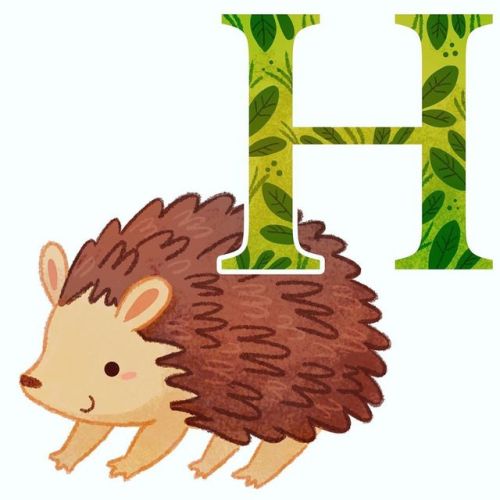 H is for Hedgehog! Get the alphabet poster at www.michiscribbles.etsy.com  . . . #babygifts #H #hedg