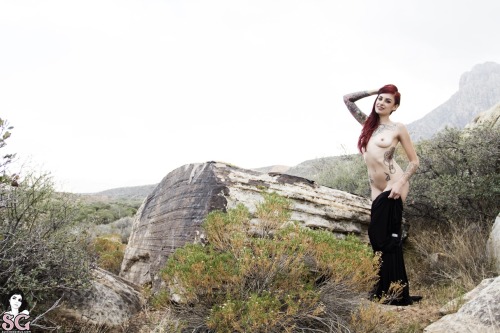 beautifulgirlsmakemesuicidal:  Tristyn Suicide 