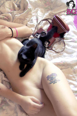 gayblowjob:  Plum Suicide body appreciation