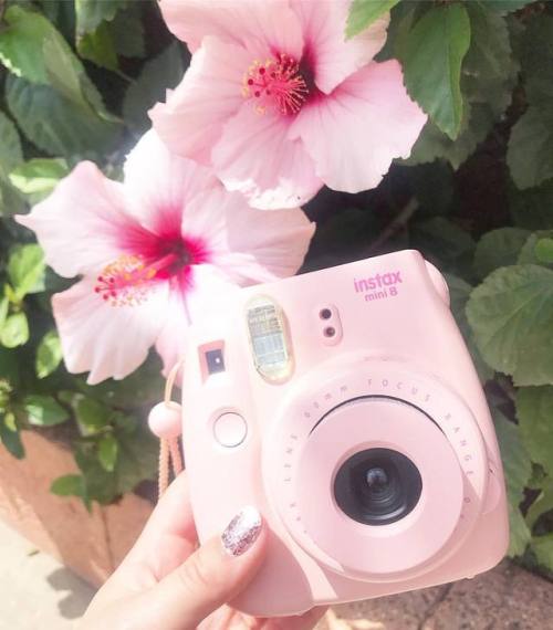 Last day in Tenerife and the last day of April too. Pic taken in Siam Park. #tenerife #instax #i