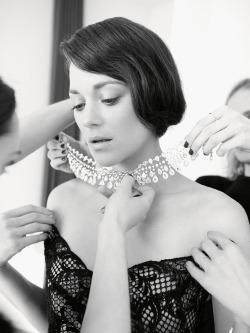 lesbeehive:  Les Beehive – Marion Cotillard