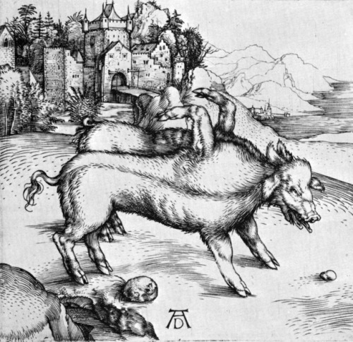 Albrecht Dürer, The Monstrous Sow of Landser, ca. 1496