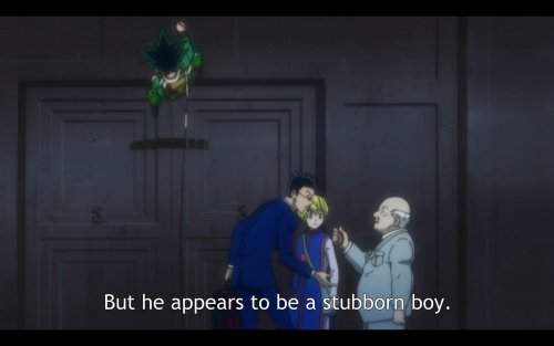 HunterxHunter: A summary