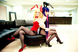 grosslyabnormal:  Bunnies - Panty and Stocking