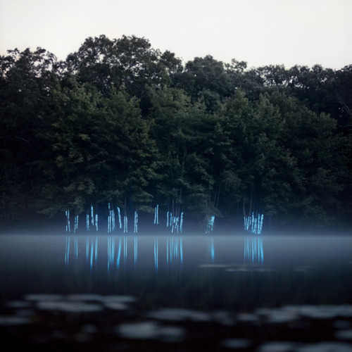 artchipel:  Barry Underwood (b.1963, USA) Artist Barry Underwood documents full-scale installations he builds on-site in the landscape. Curiosity about ecological and social history of specific places drives his work. By revealing the beauty and potential