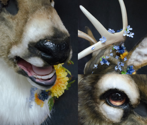  The floral deer 2.0! This time a wearable mask instead of exclusively a wall mount. He’s currently 