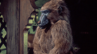 Sinbad And The Eye Of The Tiger (1977) 