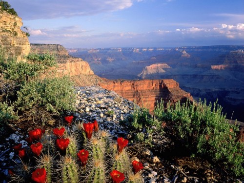 yuzees: Arizona’s Grand Canyon is a natural formation distinguished by its layered bands of red rock