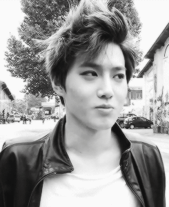 pandreos:  that hair 