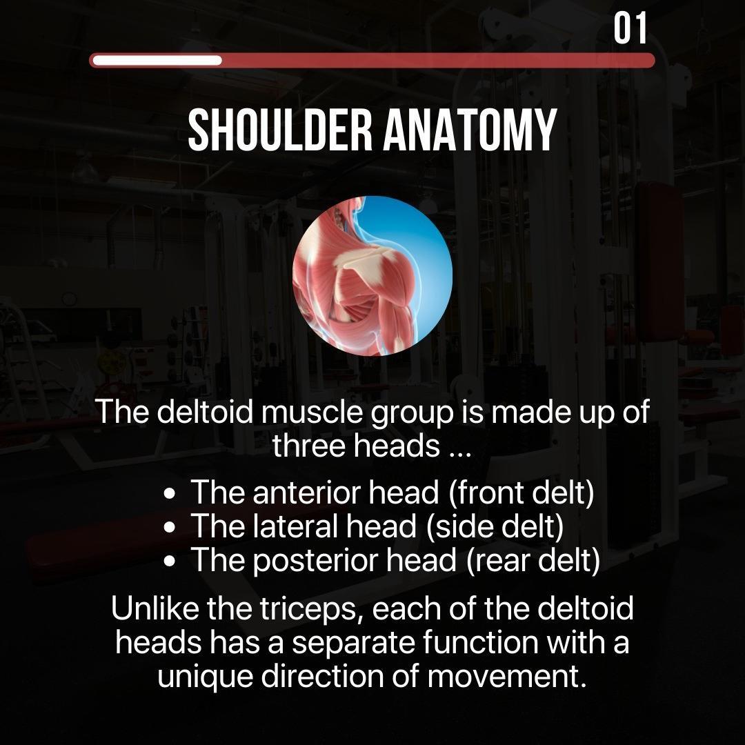 How to Get Big and Strong Shoulders?