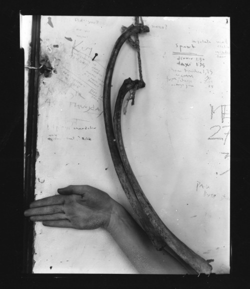 tremendousandsonorouswords:  Francesca Woodman, Untitled, Providence, Rhode Island, 1975-1978