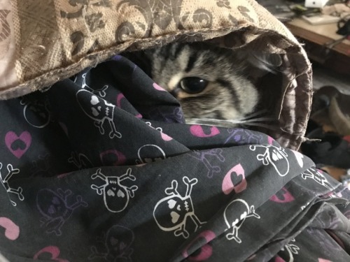 stopineed:Somebody’s cold