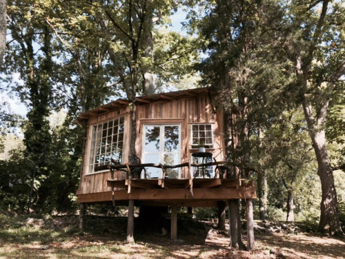 treehauslove:  The Fox Treehouse. A cozy treehouse with lots of natural light, cozy interior, and beautiful murals by Emily Leonard. Located in Nashville, Tennessee. 