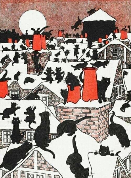 The Black Cat Holiday, 1905 - Charles Robinson