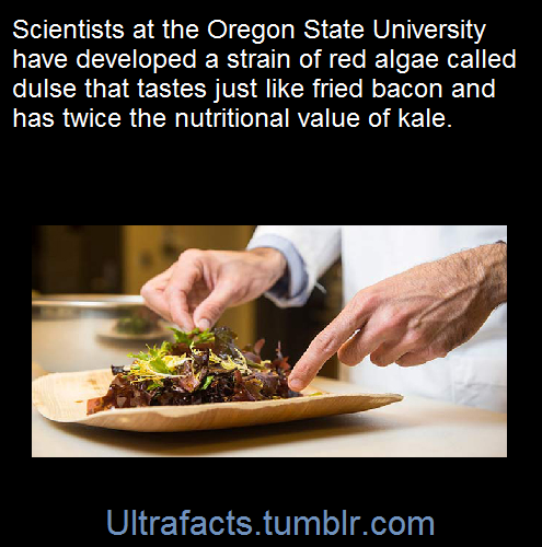 ultrafacts:  SourceFollow Ultrafacts for more facts!