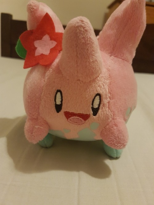 In other news… did I ever show you guys how precious my corsola is???