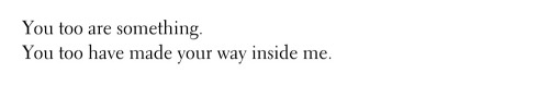 Could Have, Wisawa Szymborska // Written In The Blood, Jeanette Winterson // Stop Texting Me, Jasmine