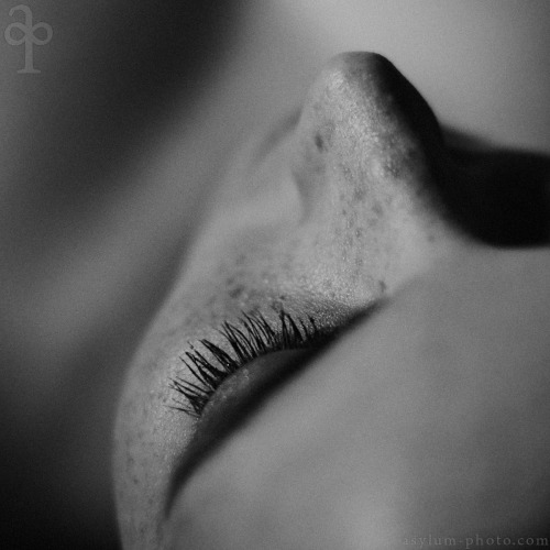 m-as-tu-vu:© by Brynn Cook* (via TumbleOn)
