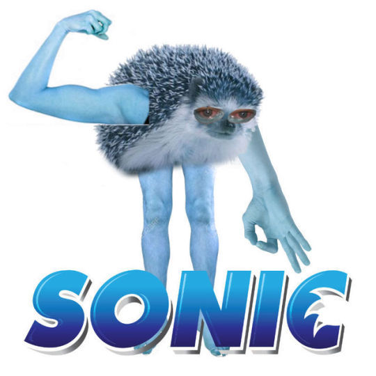 Sonic meme! - Lana Potiguara