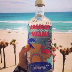 Absolut miami on We Heart It http://weheartit.com/entry/78652609/via/Allmybitchesloveit