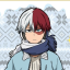 snowandfires