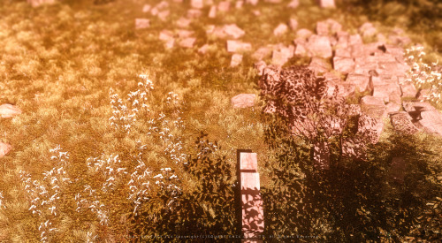 dimness-ss
