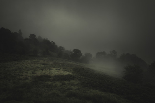 freddieardley:The broken shore interruptedphotographed by Freddie Ardley What I think the neck might