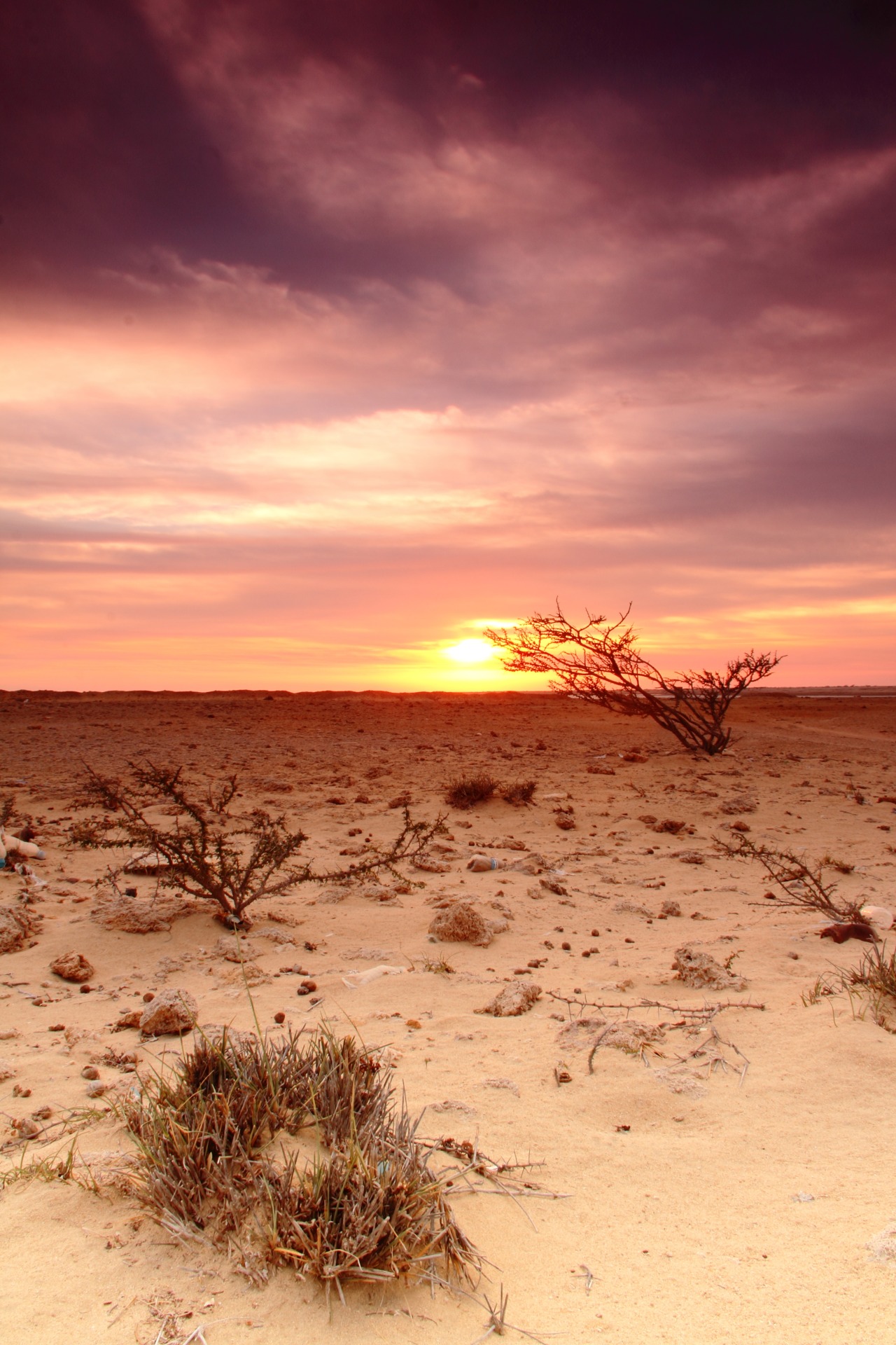 lensblr-network:  Warm Winter | Yanbu, Saudi Arabia. January 2015 by Elriz Buenaventura 