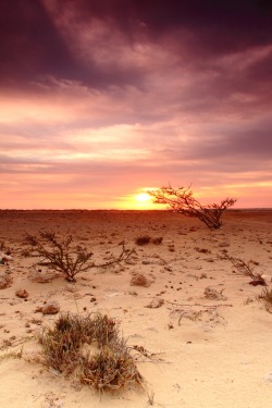 lensblr-network:  Warm Winter | Yanbu, Saudi