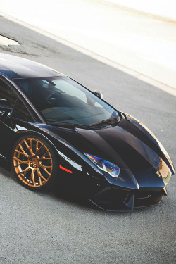 johnny-escobar:  Lamborghini Aventador 