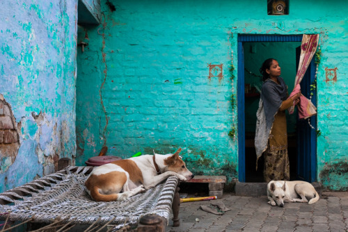 Delhi, India. Marji Lang.