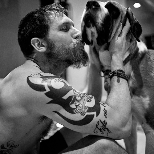 Porn kit-harington: Tom Hardy |  by Greg Williams photos