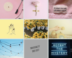 lgbt-moodboard:  Pansexual Moodboard with