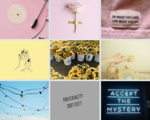lgbt-moodboard:  Pansexual Moodboard with Flowers 