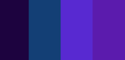 color-palettes:  Night Watching - Submitted by Anonymous  #1d033f #133f75 #5829d1 #5b1bad